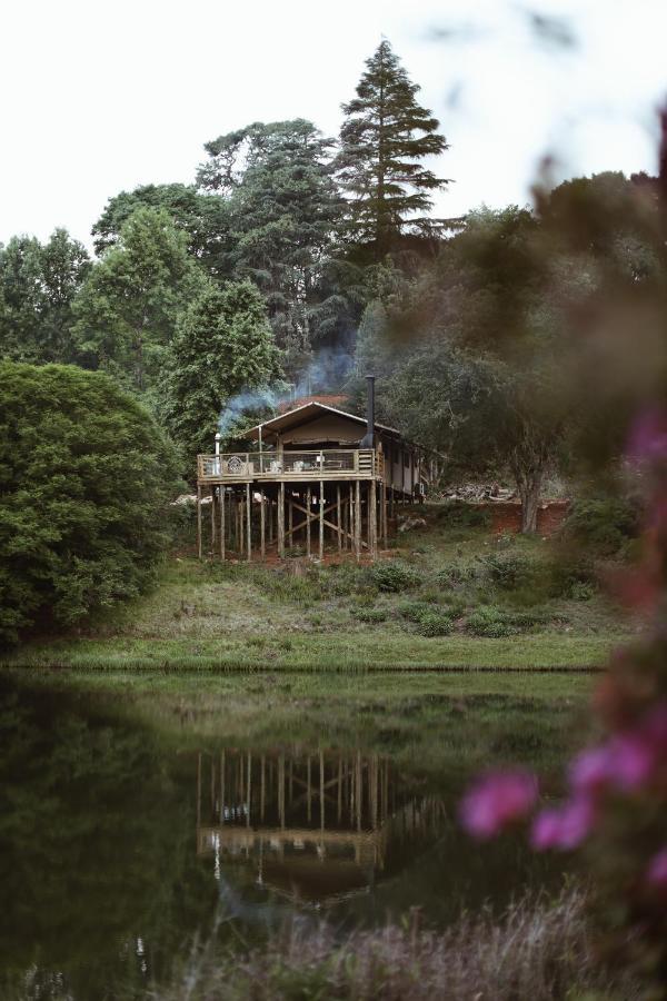 Africamps Magoebaskloof Villa Luaran gambar