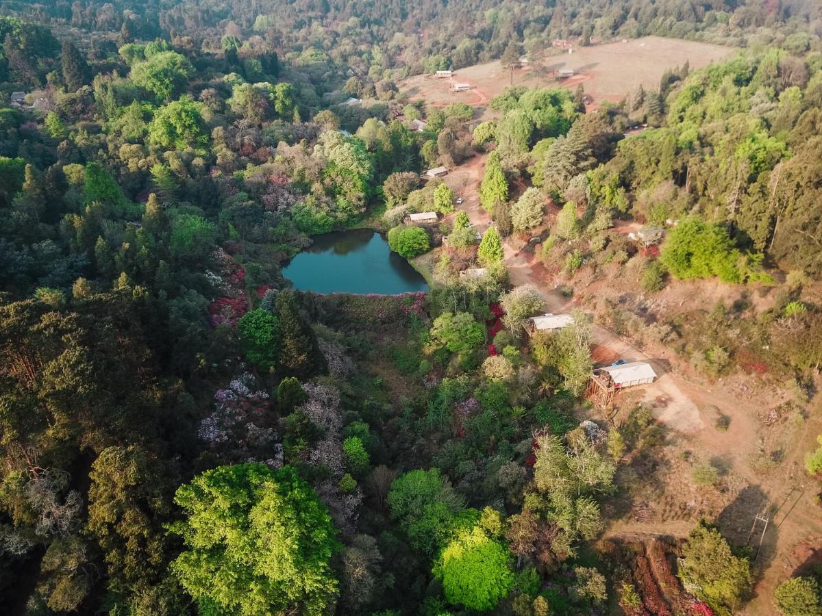 Africamps Magoebaskloof Villa Luaran gambar