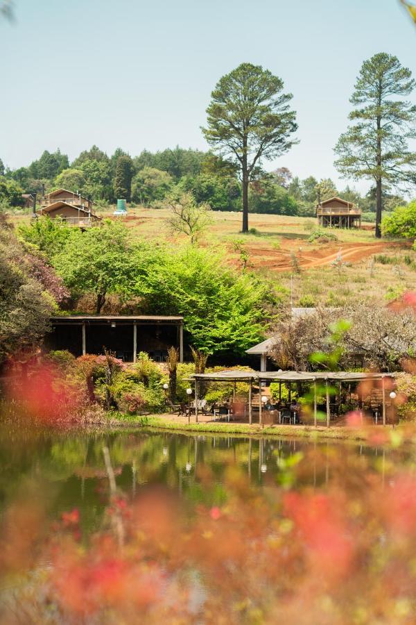 Africamps Magoebaskloof Villa Luaran gambar
