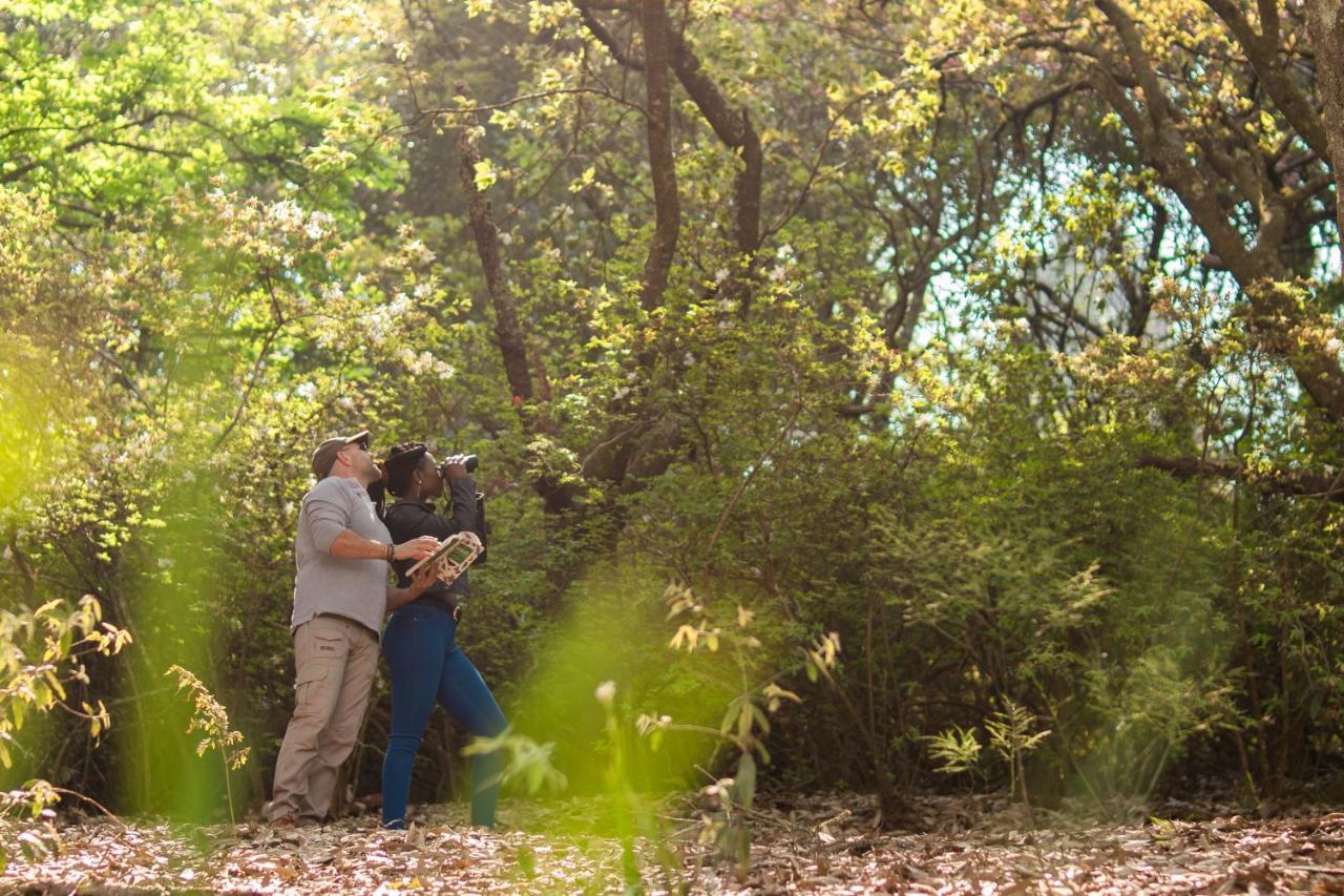 Africamps Magoebaskloof Villa Luaran gambar