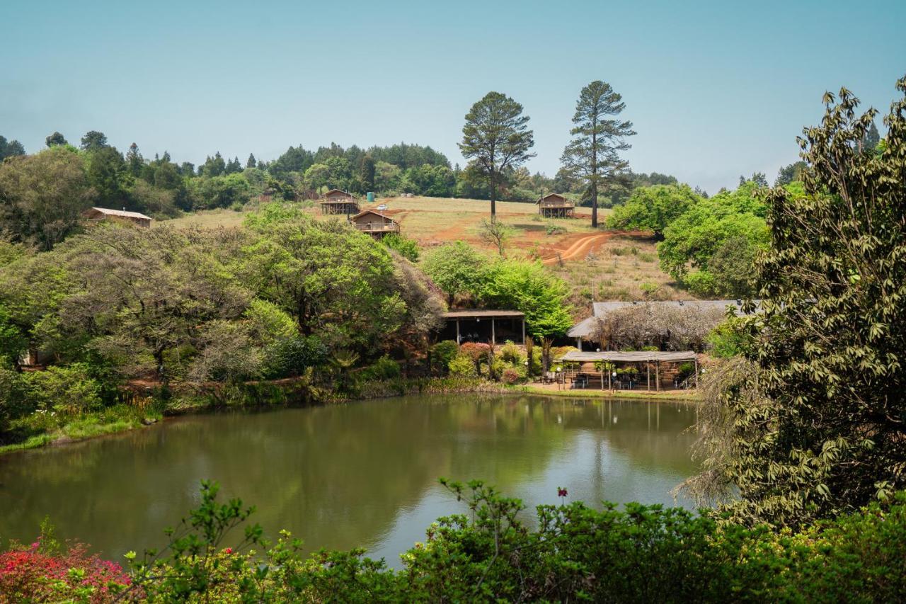 Africamps Magoebaskloof Villa Luaran gambar
